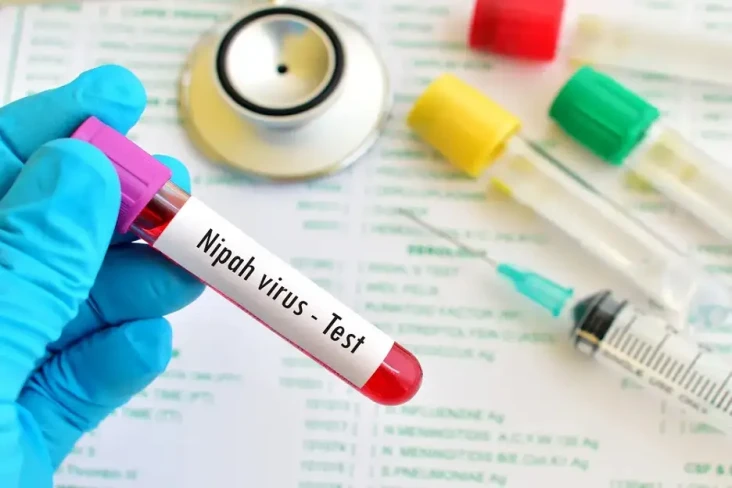 Virus Nipah Tewaskan...