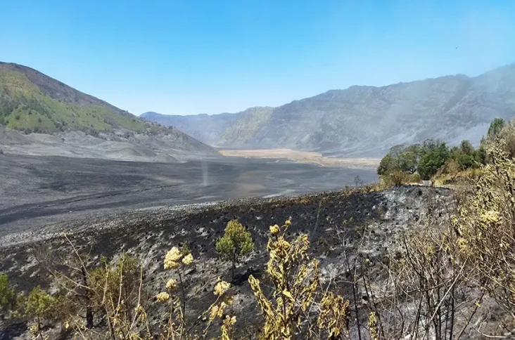 Kebakaran Gunung Bromo...