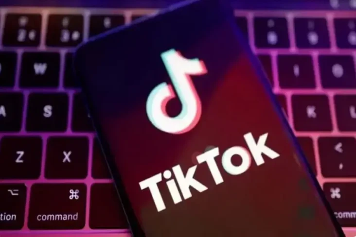 TikTok Hadirkan Fitur...
