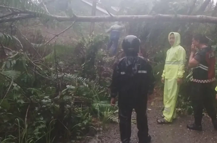 Akses Jalan di Nias...