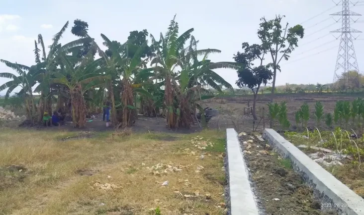 Caleg Perindo Bantu...