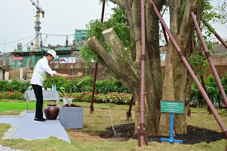 Jokowi Tanam Pohon Beringin...