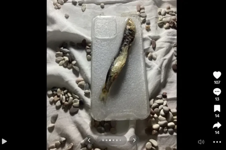 Antimainstream, Casing...