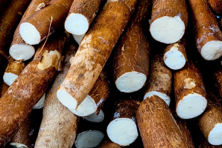 10 Makanan yang Tidak...