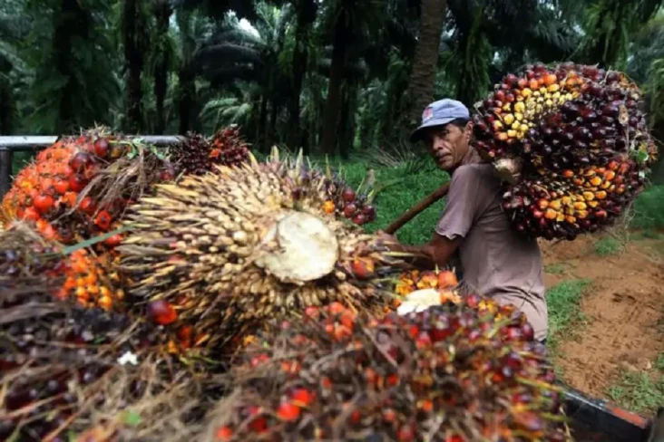Peringati Hari Tani...