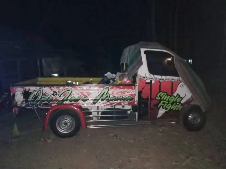 Mobil Pikap Karnaval...