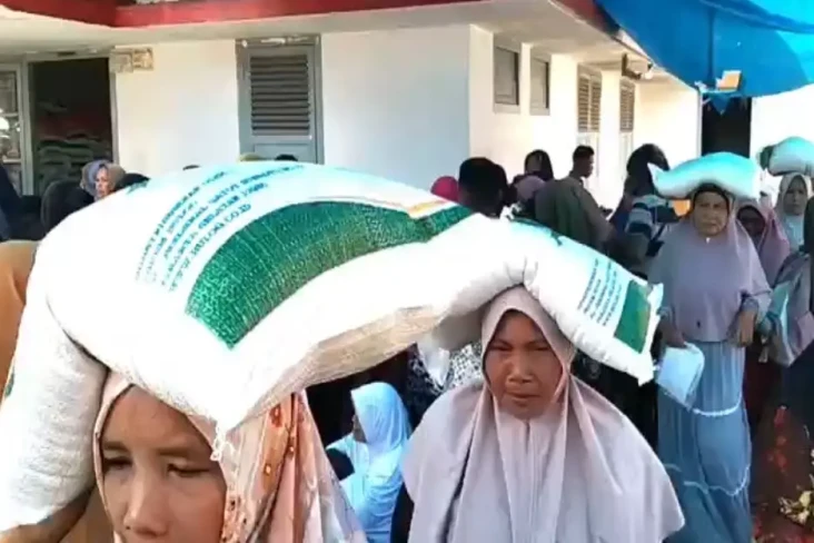 Harga Beras Mahal, Ratusan...