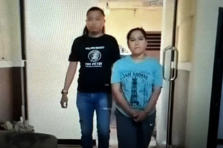 Penampakan Ibu Penyetrika...