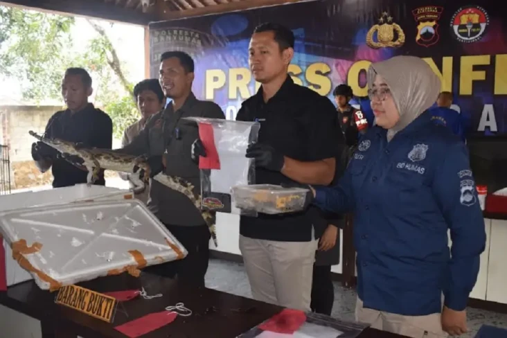 Berawal Patroli Siber,...