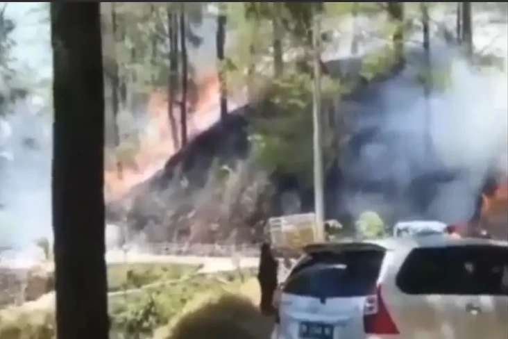 Kobaran Api Melalap...