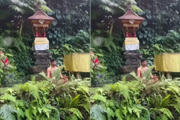 Viral! Bule Meditasi...