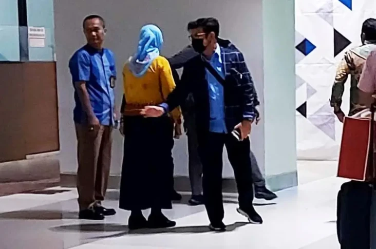 Potret Syahrul Yasin...