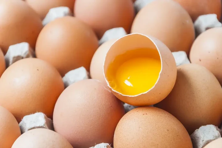 Amankah Konsumsi Telur...