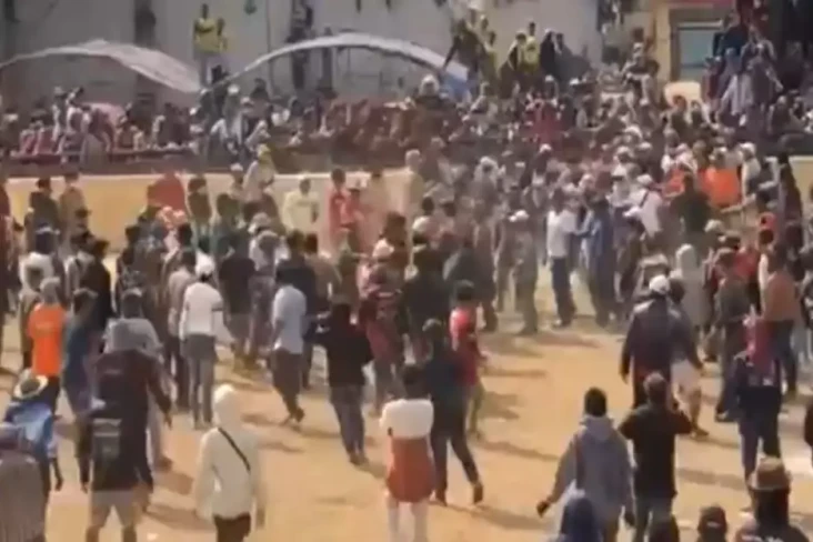 Mencekam! Lomba Karapan...