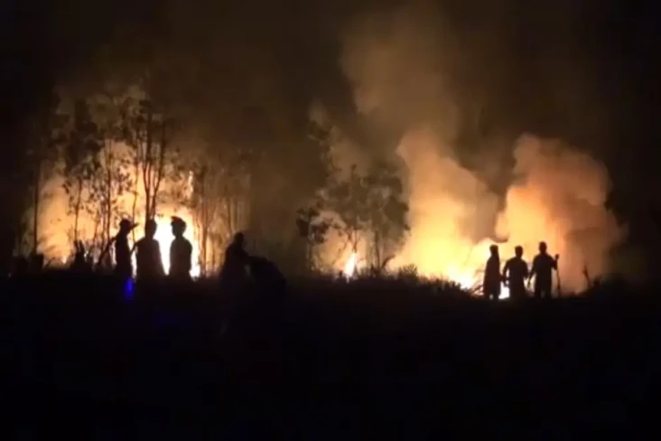 Kebakaran Lahan di Minggu...