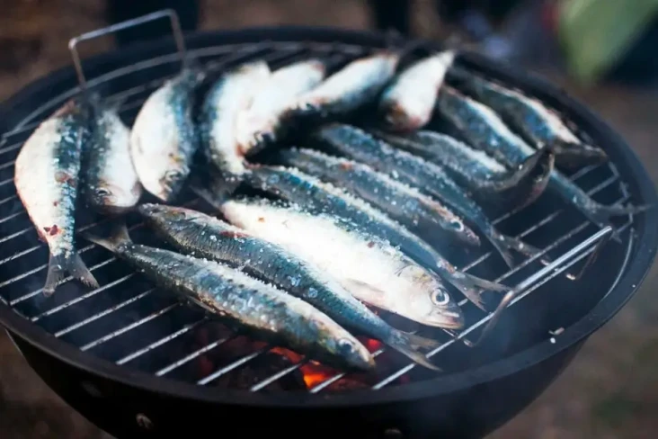 2 Jenis Ikan yang Bikin...