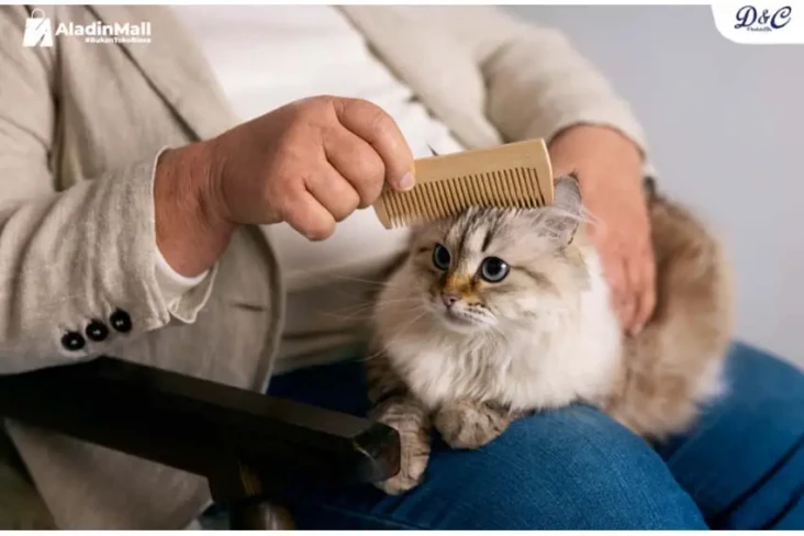 Pet Lover, Ini Langkah...