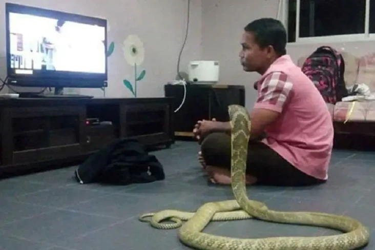 Viral! Pria Thailand...