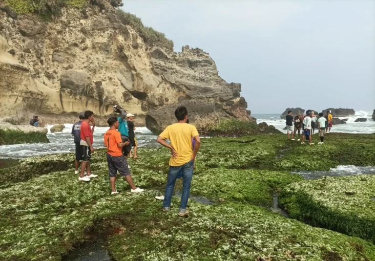 Cari Rumput Laut, Warga...