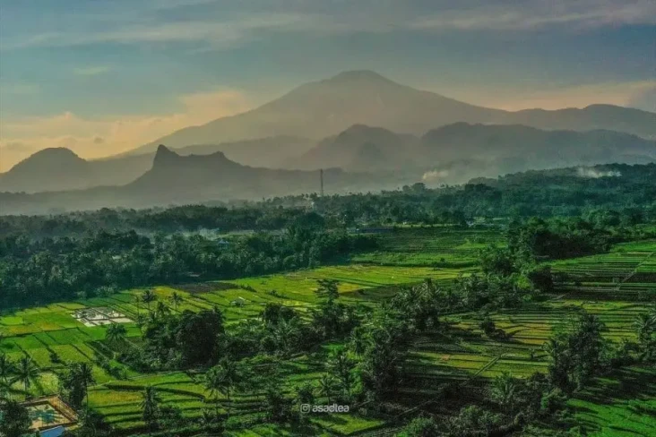 Sejarah dan Asal-usul...