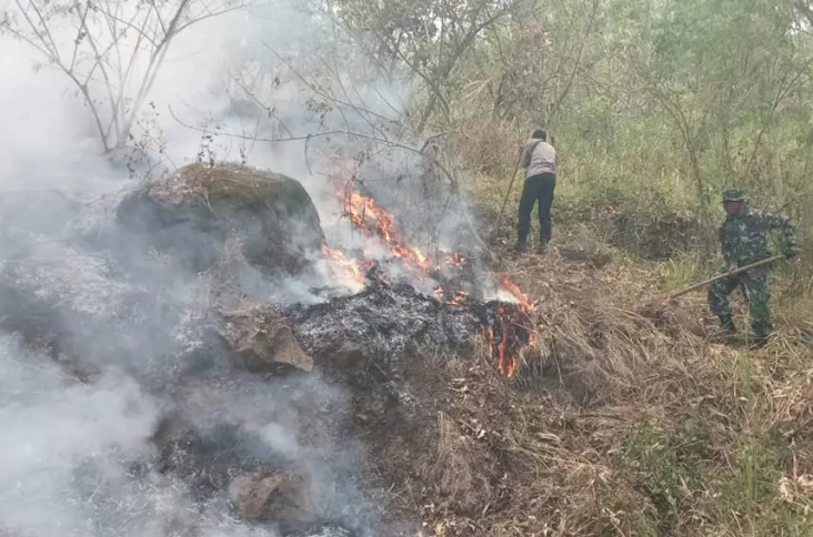 27 Hektare Lahan Hutan...