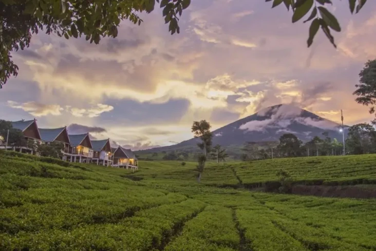10 Tempat Wisata Dingin...