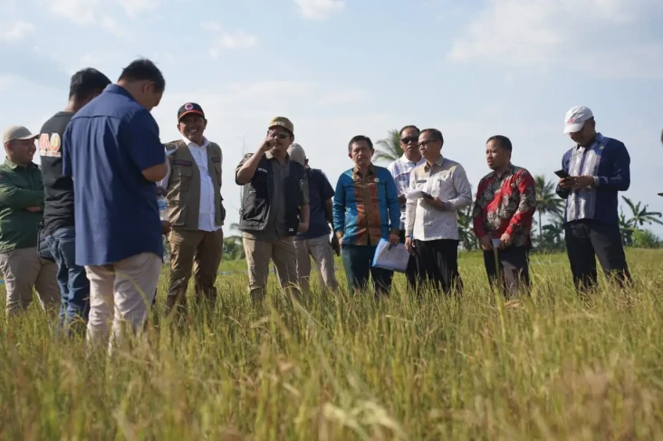 Kemarau Panjang, Petani...