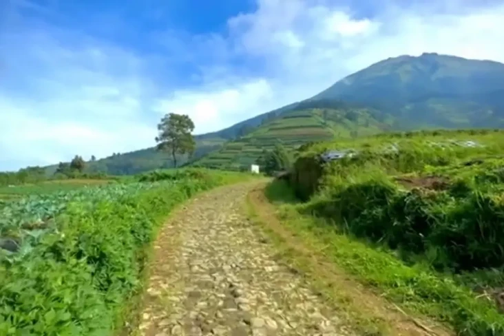 Mengintip Pesona Dusun...