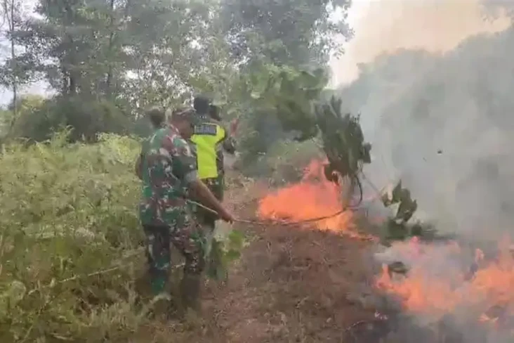 Perwira Menengah TNI...