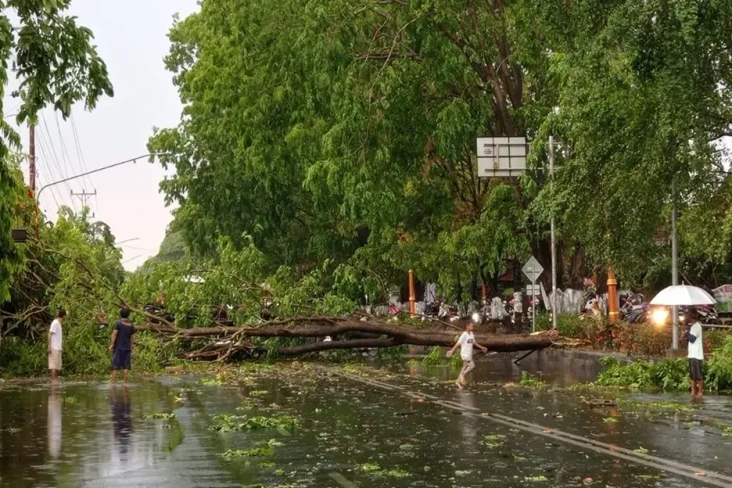 Mencekam! Hujan Deras...
