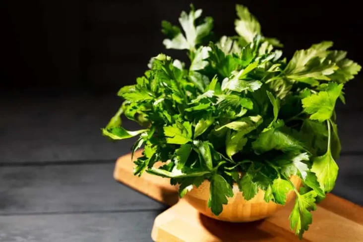 5 Herbal yang Bisa Bantu...