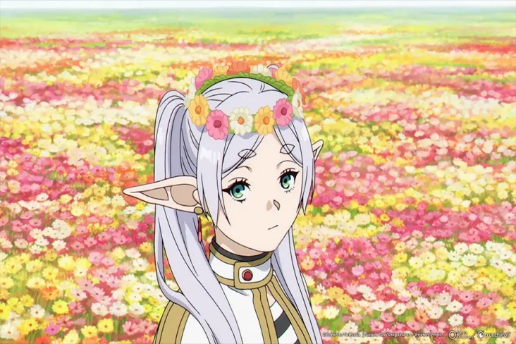 Rating 10 Anime Fall...