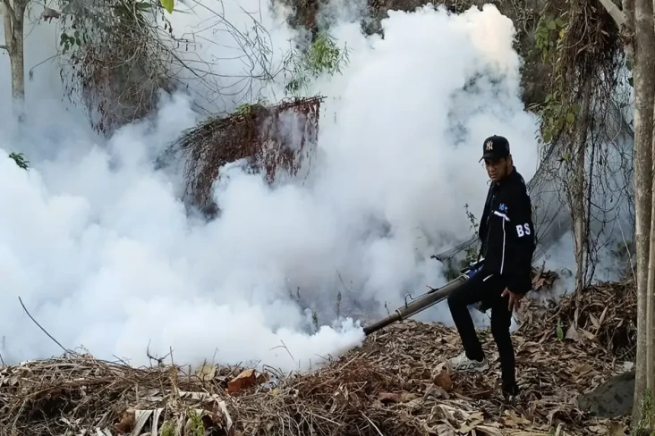 Lingkungannya Difogging,...