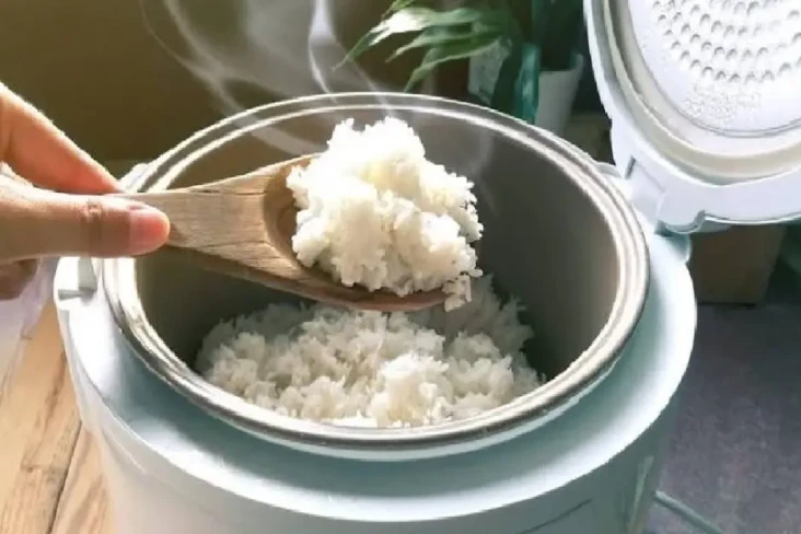 Rice Cooker Gratis Bakal...