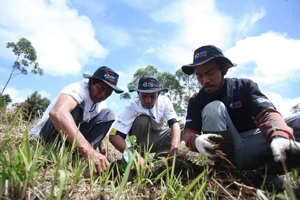 BRI Peduli Grow & Green...