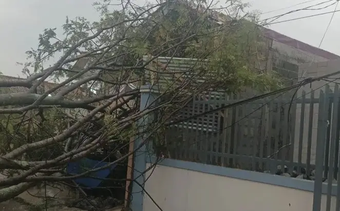 Angin Kencang Terjang...