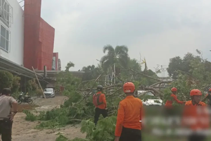 Hujan Disertai Angin...