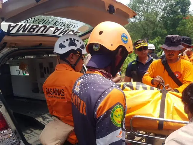 Hilang di Hutan Purwakarta,...