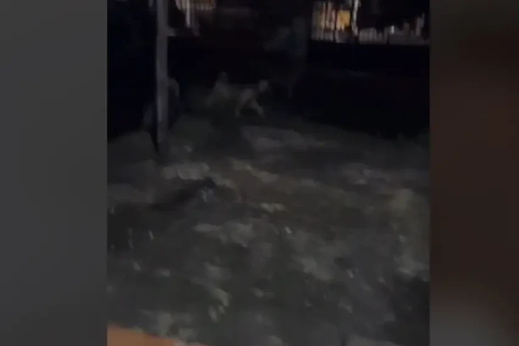 Viral! Perempuan Adu...