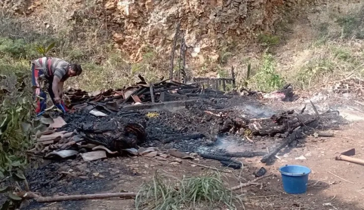 Kandang Terbakar di...