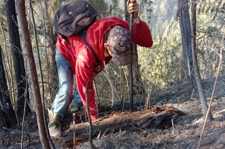 Kebakaran Lahan di Gunung...