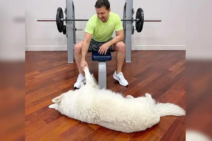 Banyak Konflik, Zelensky:...