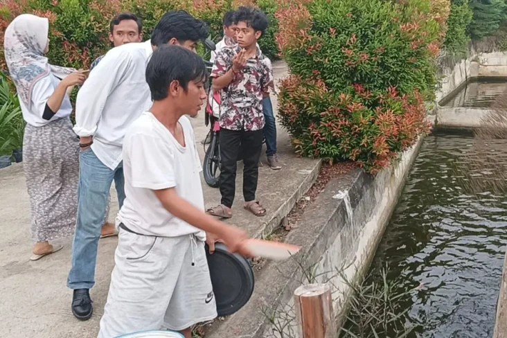 Peluang Bisnis, Relawan...