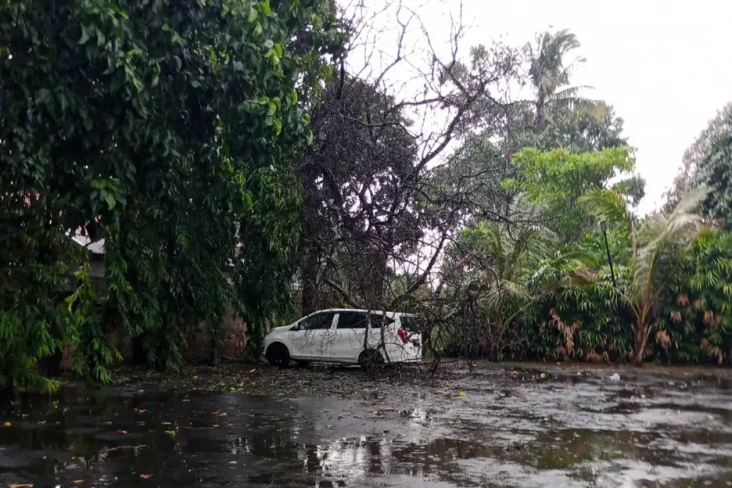 Mobil Ringsek Tertimpa...