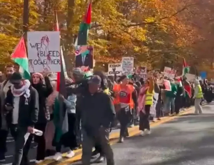 Demonstran Pro-Palestina...