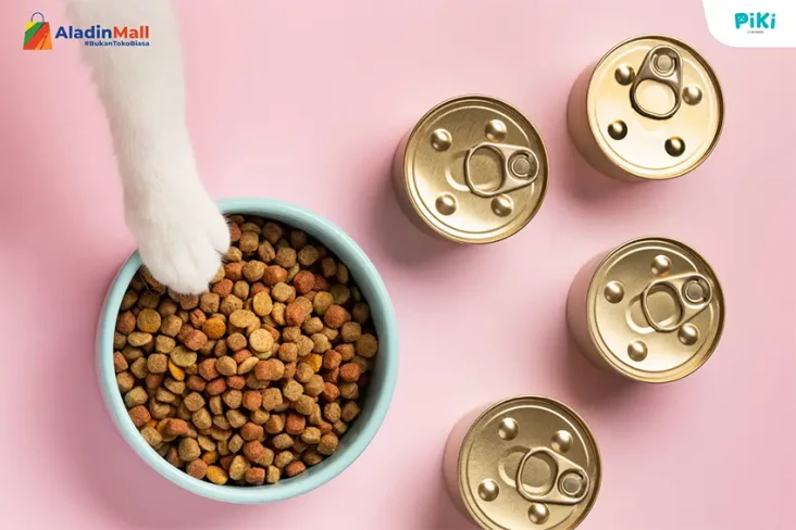 6 Jenis Makanan Kucing...