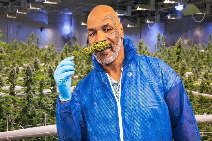 3 Alasan Mike Tyson...