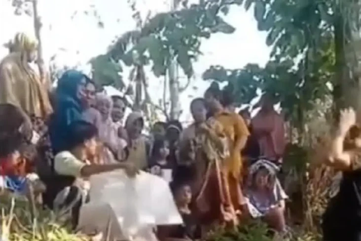 Memilukan, Bayi Dimakan...