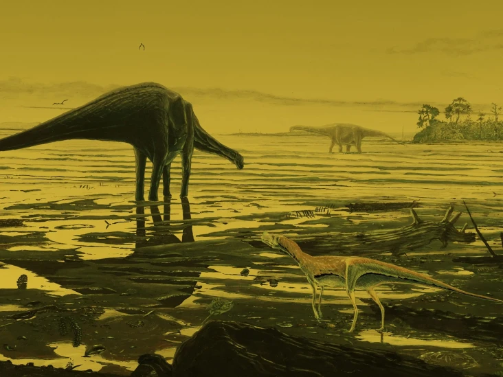 Jejak Kaki Dinosaurus...