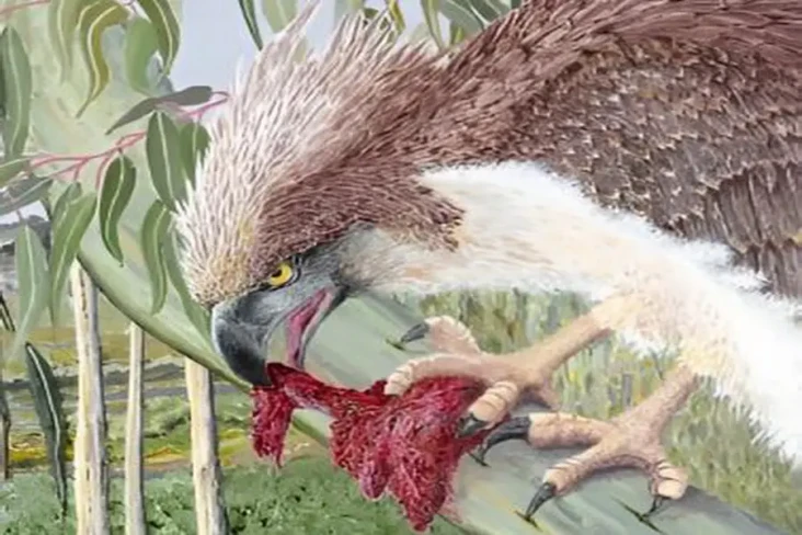 Mirip Burung Phoenix,...